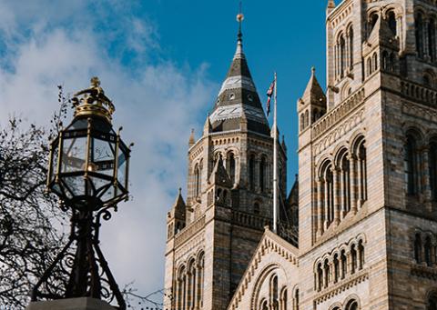 Natural History Museum